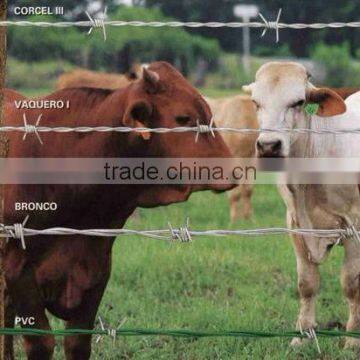 Cheap Barbed Wire Price per Roll, Barbed Wire Weight per Meter photo-2