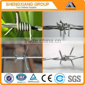 Double Twist galvanized barbed wire