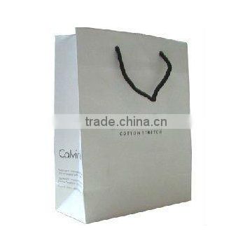 Paper Bag with a printed logo