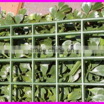 Plastic Green Artificial Hedge Fence photo-3