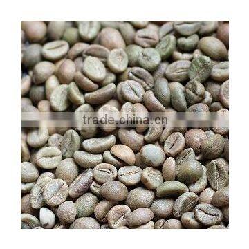 Green Robusta Coffee Bean
