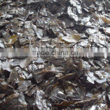 dong qing ye dry wintergreen leaf wintergreen natural china jiangxi native