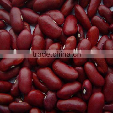 RED KIDNEY BEANS,RED BEANS,BRITISH TYPE,ENGLISH TYPE,LONG SHAPE