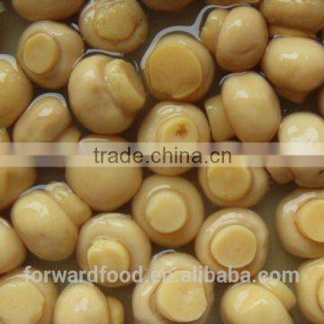 Best quality Canned Champignon mushroom botton mushrooms