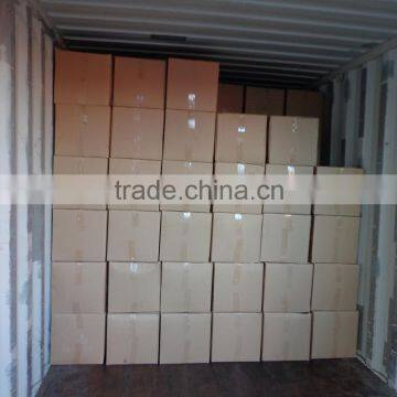 Champignon Noir photo-6