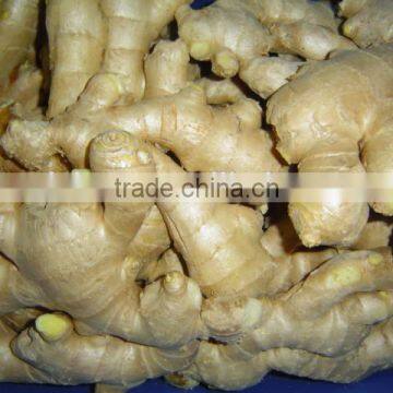 2014Organic Fresh Ginger photo-5