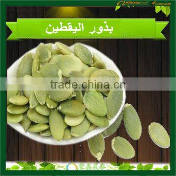 New Arrival Pumpkin Seeds Kernels Big Quantity