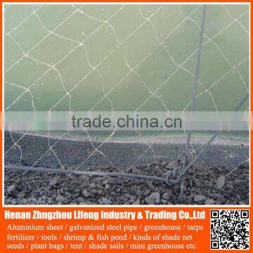 Chinese factory directly supply Knitted Economy Anti Bird Netting , cheap plastic hdpe / pe anti bird net