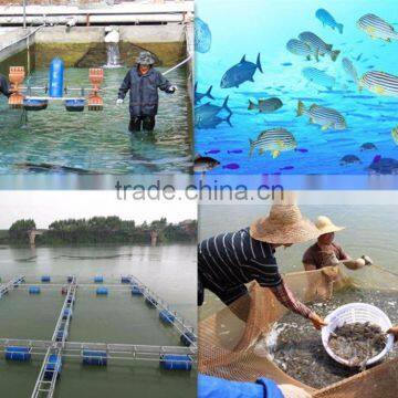 aquaculture zeolite for aquaculture additive and aquatic feedstuff,