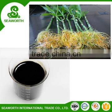 Top quality rooting agent mycorrhizae for sale