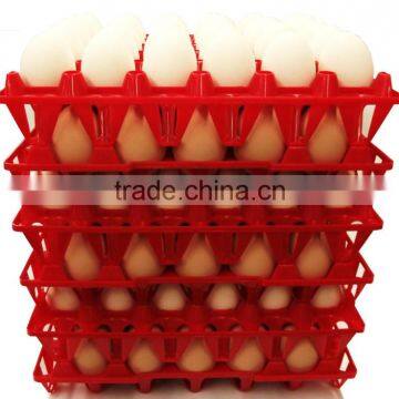 PLASTIC RED EGG TRAY- LARGE FOR 30 EGGS