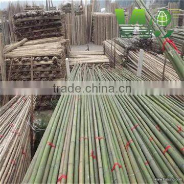 Cheap Natural Decoration Artificial Bamboo Poles photo-2