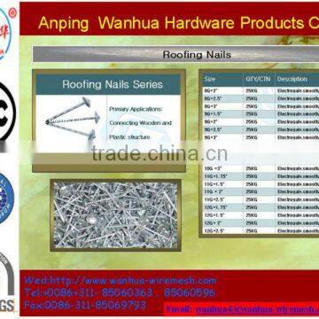 Umbrella Head Roofing Nails (BWG8 - BWG14) Factory