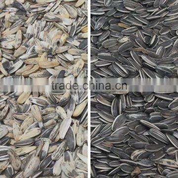 China Manufacturer Price Agriculture Color Sorter/color Sorting Machine for Sunflower Seeds photo-3