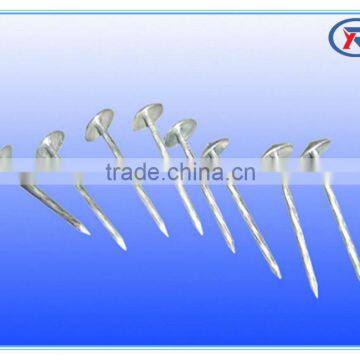 Umbrella Head Roofing Nail/ Galvanized Roofing Nail for Building Decoration Renovation photo-6