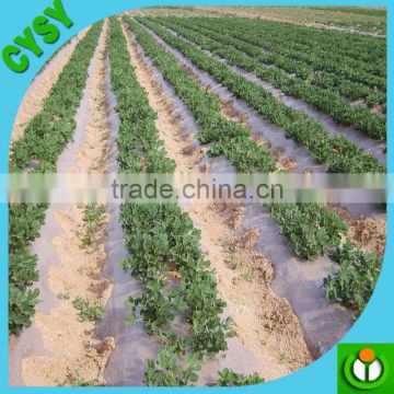 Blue color holographic plastic mulch film