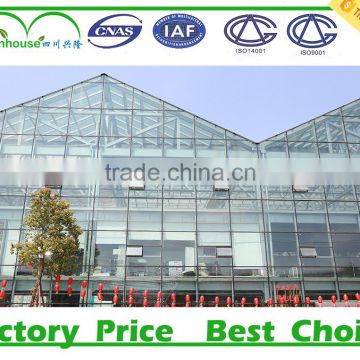 China commercial glass greenhouse for used