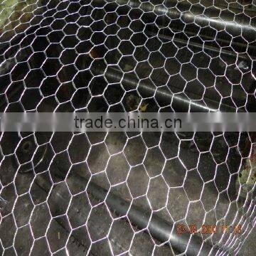 Hexagonal Wire Mesh