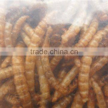Pet Food Factory Birds Food Meal Worm photo-4