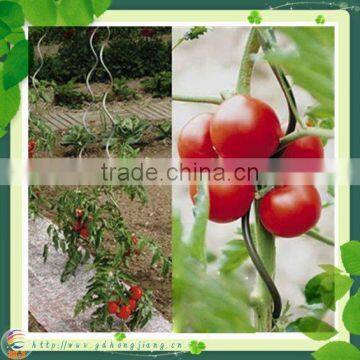 Tomato Plant Spiral Support Stakes photo-5