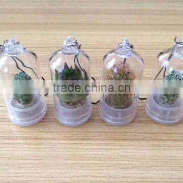 Wholesale Factory Cheap Glass Potted Meaty Cactus Plant Keychain, Super Mini Personal Gift Decorative Keychain Plant Design photo-6