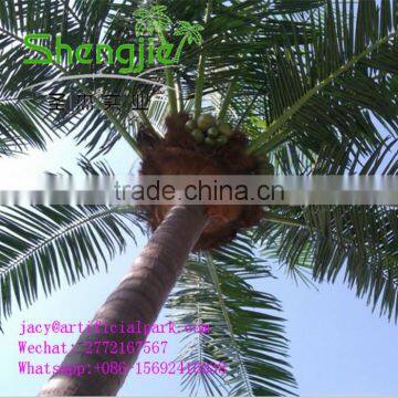 SJLJ01261 Indoor Outdoor Artificial Coconut Palm Tree With Light photo-3