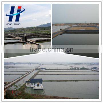 Waterproof Geomembrane for Shrimp Farm Liner photo-3