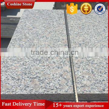 Factory Direct Selling Grey Granite G383 Natural Stone Slab photo-3