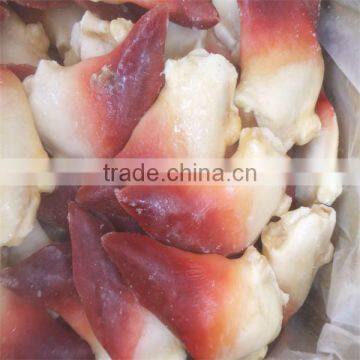 best season frozen shellfish arctic surf clam meat