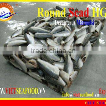 FROZEN ROUND SCAD HGT photo-6