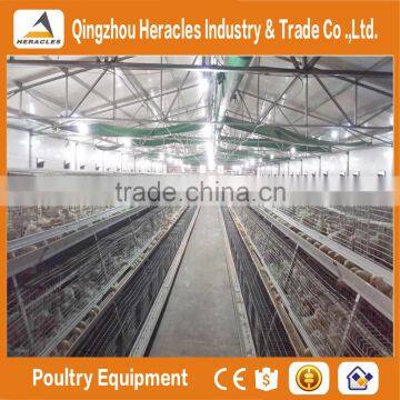 Heracles Trade Assurance Layer Chicken Cage-- 3 Layers Chicken Poultry Farm Equipment photo-2