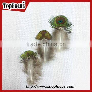 Hot Sale Designer Indian Cheap Natural Artificial Peacock Feathers photo-2