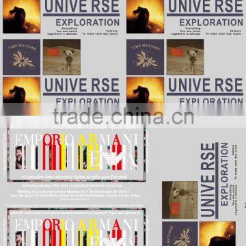 Personalized Custom Plastisol Heat Transfers for Clothing for Garment photo-2