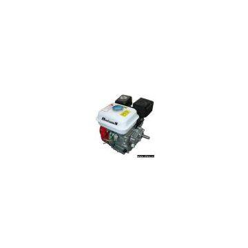 Gasoline Engine