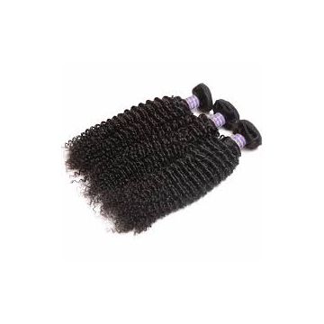 Chemical free 12 Inch Cambodian Multi Colored Indian Curly Human Hair For Black Women