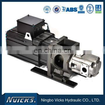 China Leading Factory Phase Servo Electric Oil Pump photo-4