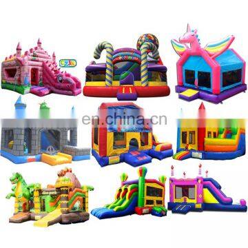 Kid Event Character Inflatable Jumper Bouncer Jumping Bouncy Castle Bounce House for Party