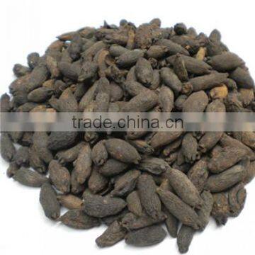 organic clove, clove mother