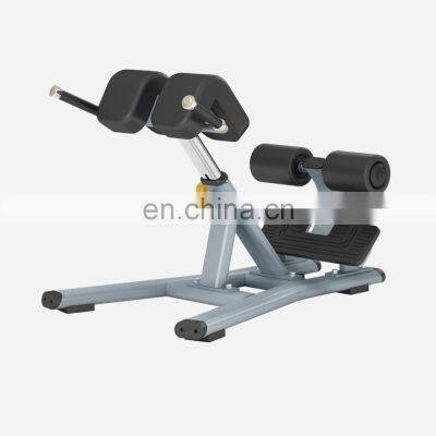 Indoor Strength Back Extension Fitness Equipment Gym Weight Lifting Adjustable Roman Chair