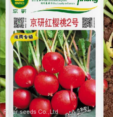 High Sprouting 5g Red Radish Seeds Supplier Chinese Vegetable f1 Hybrid Radish Seed for Planting photo-2