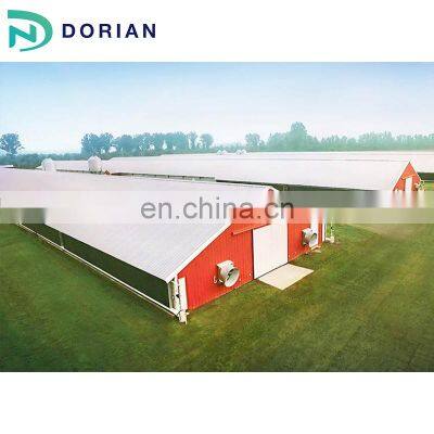 Prefabricated Poultry Shed Chicken Farm Building House For 10000 Chickens