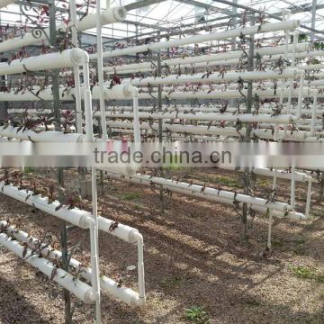 Good Quality Hydroponics Greenhouse