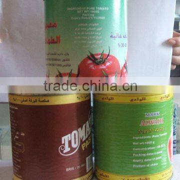 canned tomato paste& ketchup for 400g