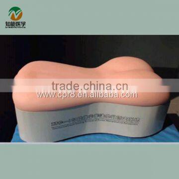 BIX/ZC-B emulational human back acupuncture training platform