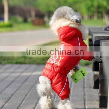 Dog Garments photo-6