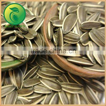 2015 New Crop Free Samples CBD Oil Sunflower Seeds photo-3