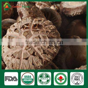 Shiitake Mushroom Fresh Health Food Shiitake Mushroom Whleseller