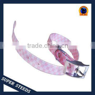 diy cat collars and leashes