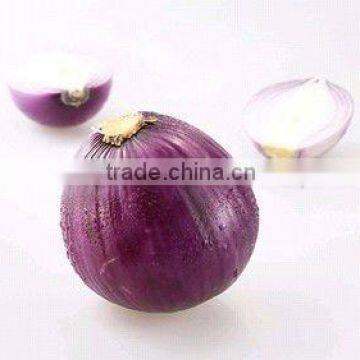 New Crop Red Shallot