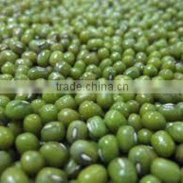 Organic Green Beans